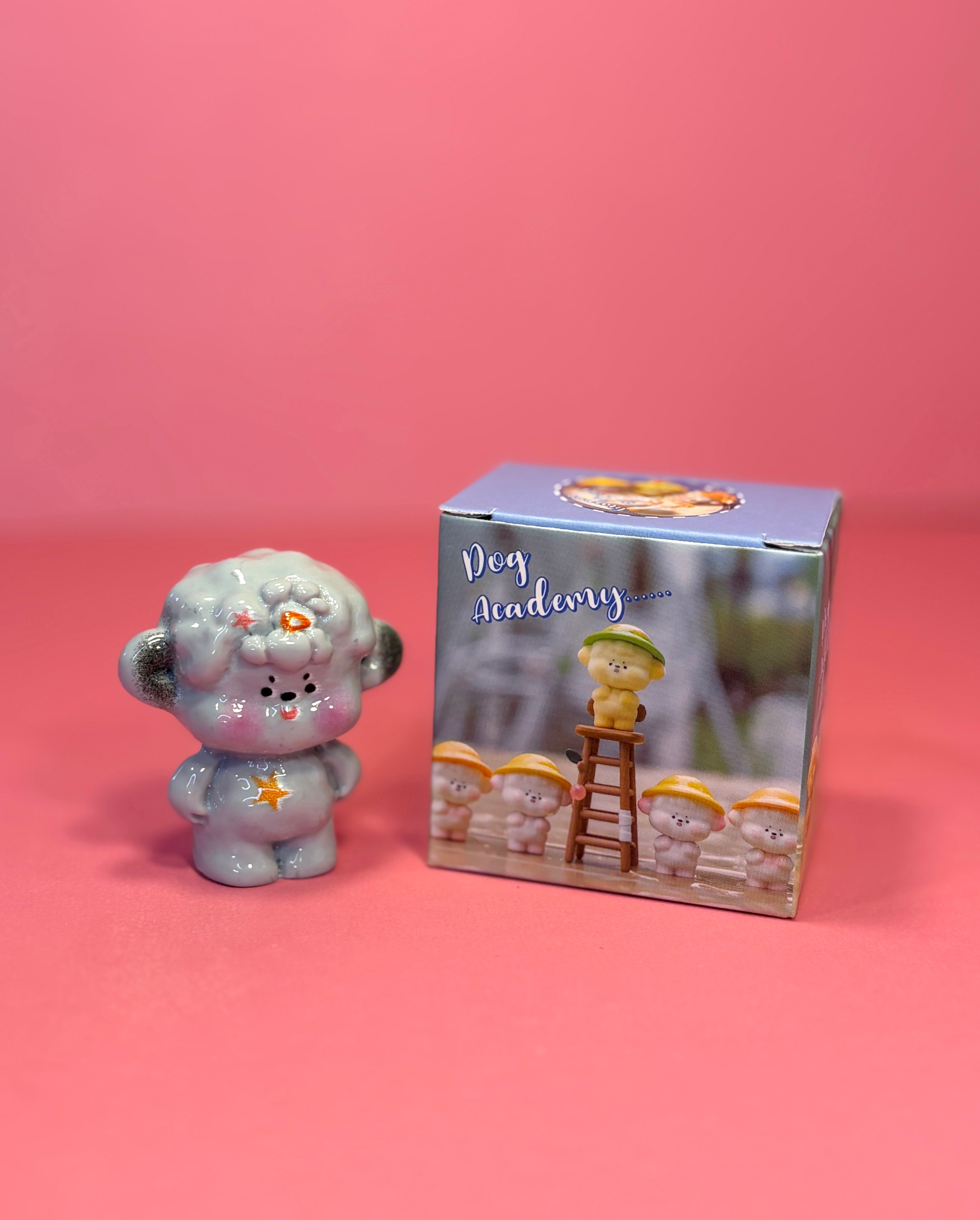 Dog Academy Blind Box 🩵
