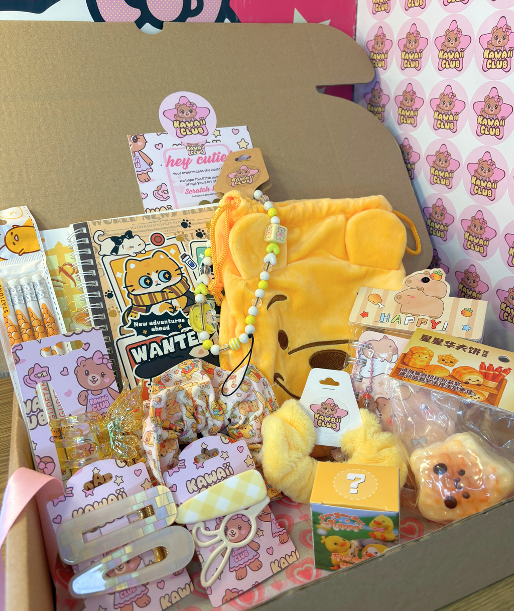✨Mini Mystery Scoop✨