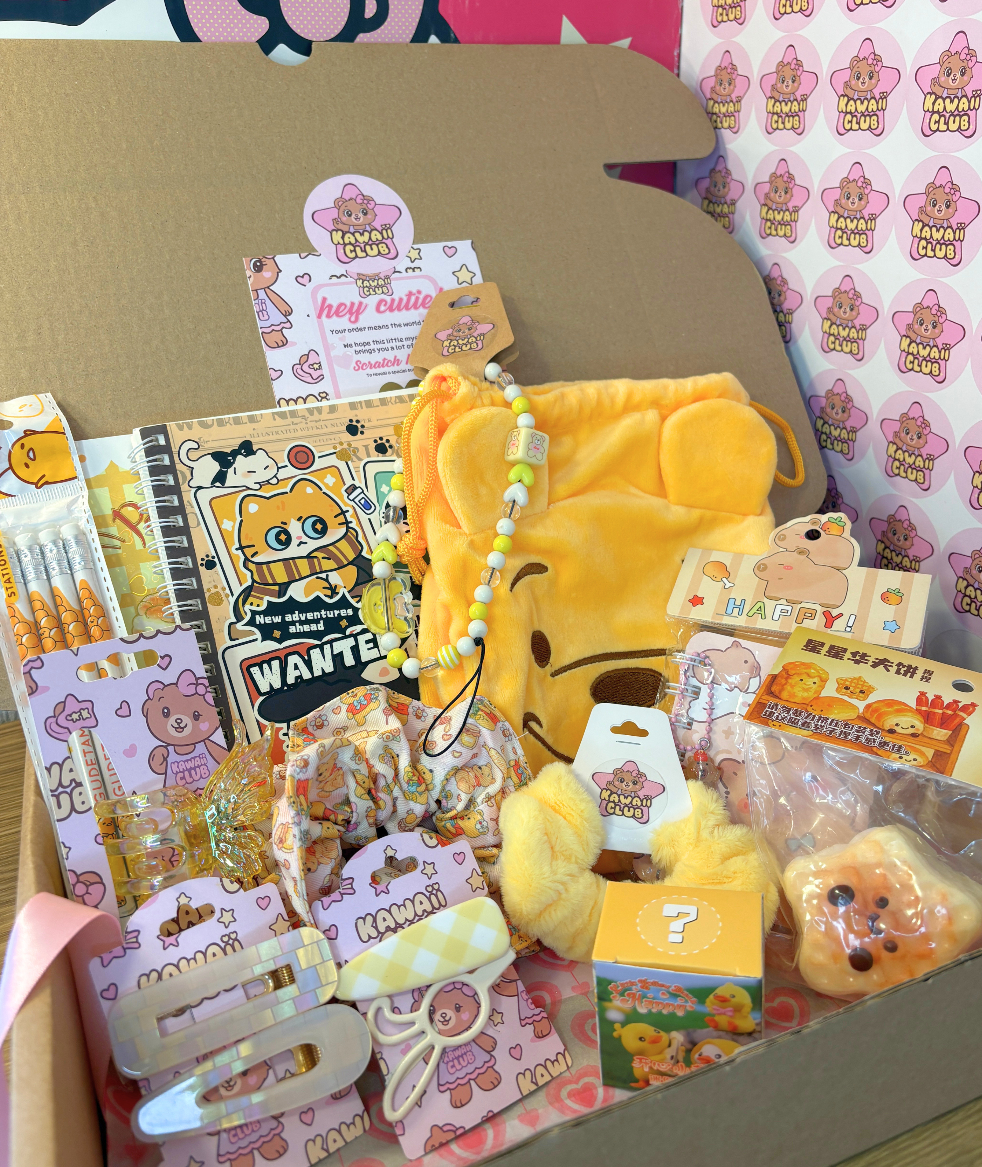 ✨Mini Mystery Scoop✨